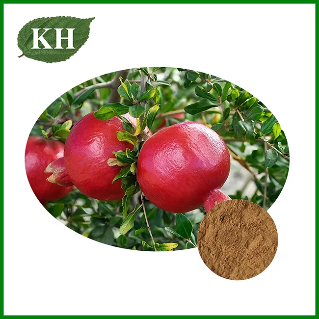 Skin Health Pomegranate Peel Extract